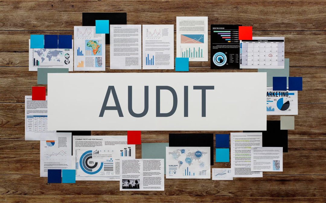 Data Audit and Compliance Procedure Template