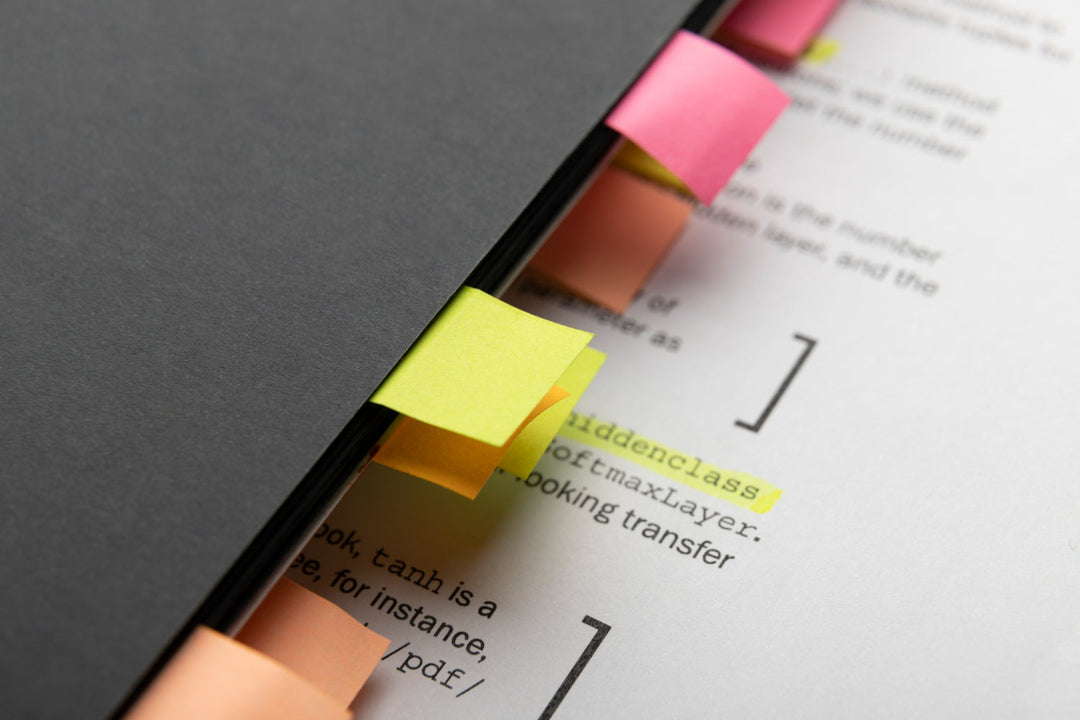 ISO 9001 Audit Program Document