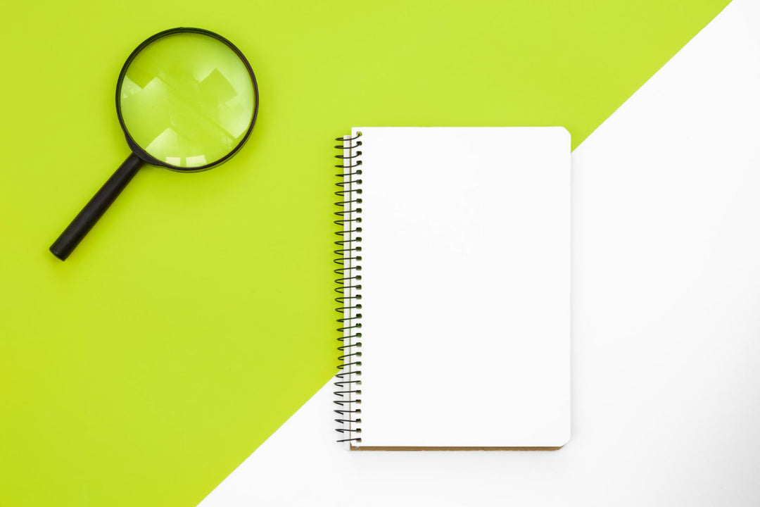 ISO 9001 Audit Observation Log
