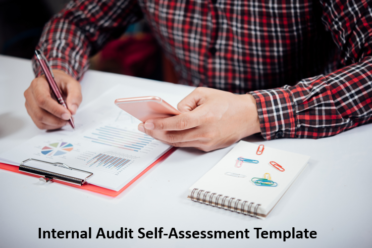 Individual Audit Internal Audit – Tagged