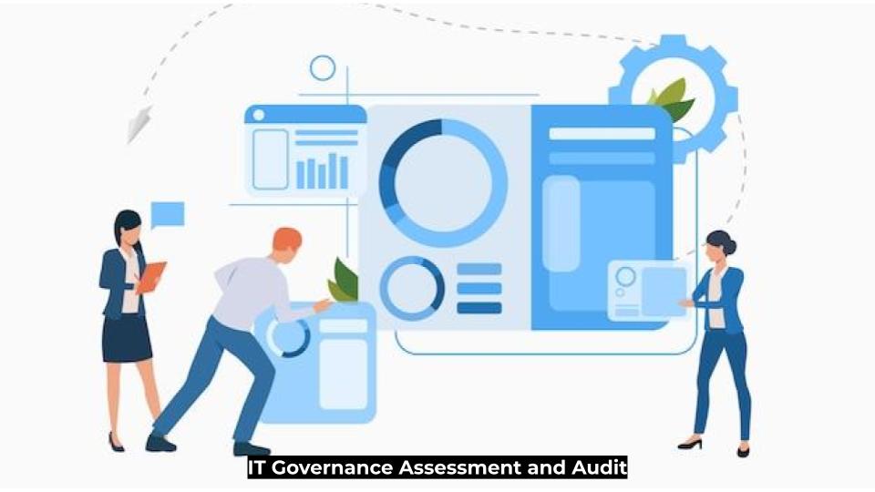 IT Governance Assessment and Audit