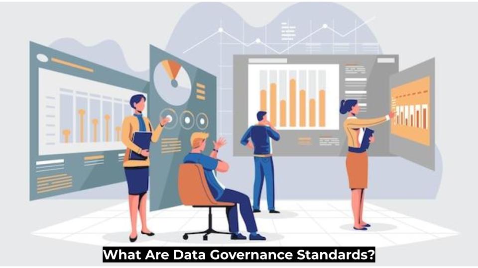 What Are Data Governance Standards?