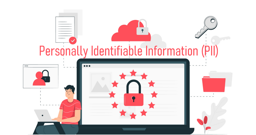 personally indentifiable information(PII)