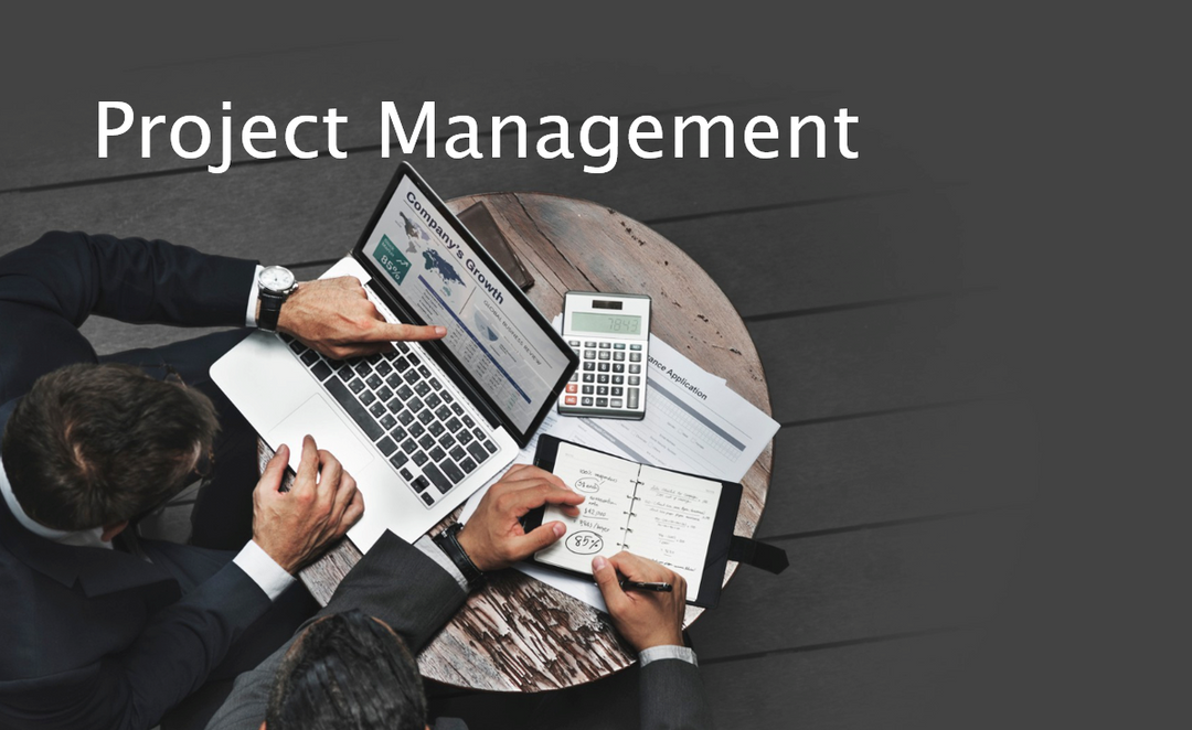 Mastering the Art of Project Management: Methodologies, Importance and Life Cycle