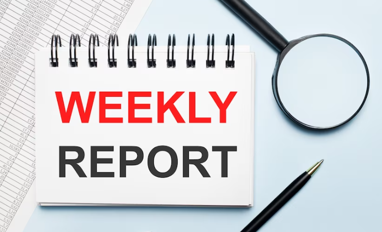 Weekly Status Update Template In Internal Audit