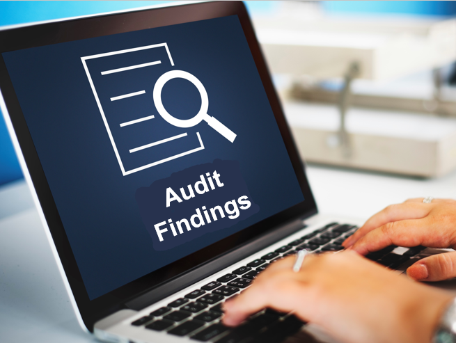 Audit Findings