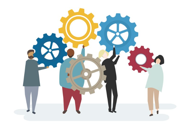The Essential Role of the Internal Audit Function in Business Success